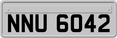 NNU6042