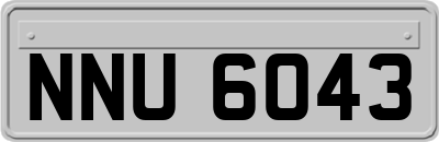 NNU6043
