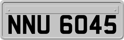 NNU6045