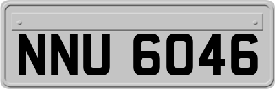 NNU6046