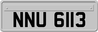 NNU6113