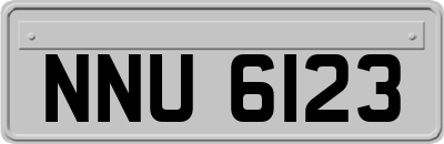 NNU6123