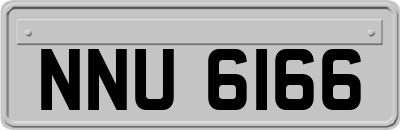 NNU6166