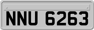 NNU6263