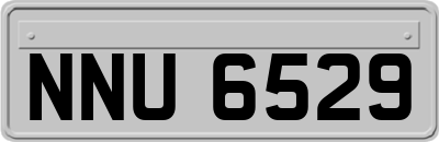 NNU6529