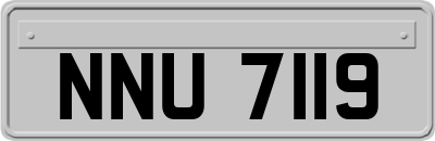 NNU7119