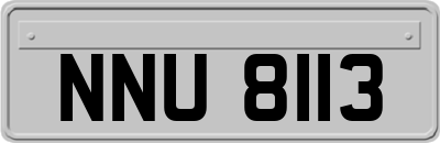NNU8113
