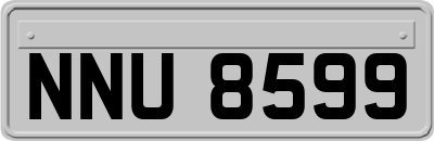 NNU8599