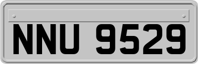 NNU9529