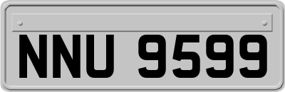 NNU9599
