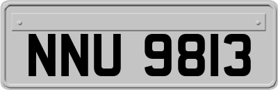 NNU9813
