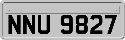 NNU9827