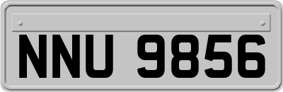 NNU9856