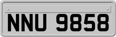NNU9858