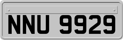 NNU9929
