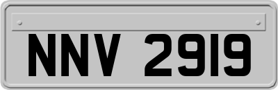 NNV2919