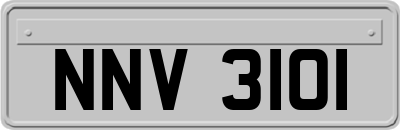 NNV3101