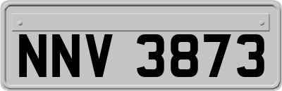 NNV3873