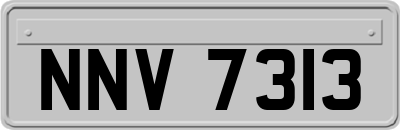 NNV7313