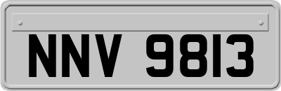 NNV9813