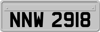 NNW2918