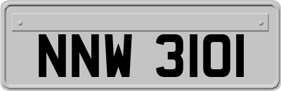 NNW3101