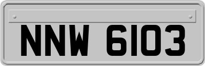 NNW6103