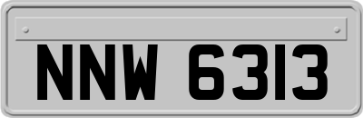 NNW6313