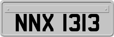 NNX1313