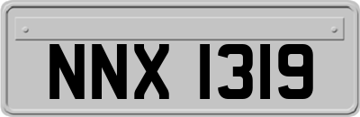 NNX1319