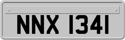 NNX1341