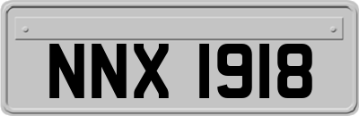 NNX1918
