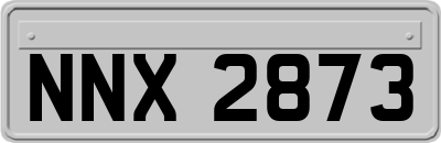 NNX2873