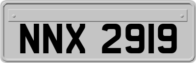NNX2919