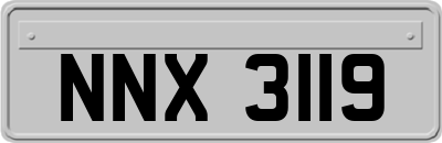 NNX3119