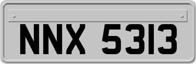 NNX5313