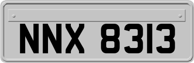 NNX8313