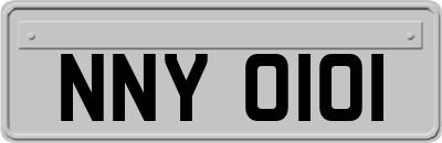NNY0101