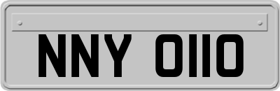 NNY0110