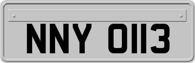 NNY0113