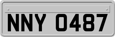 NNY0487