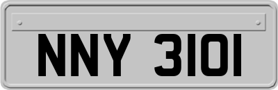 NNY3101