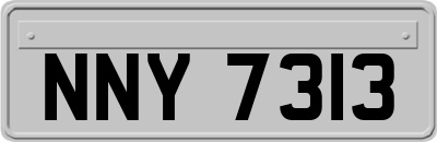 NNY7313