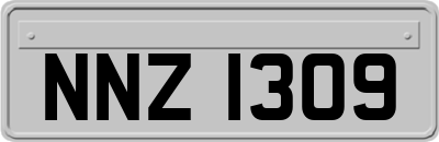 NNZ1309