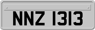 NNZ1313