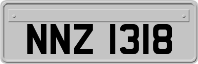 NNZ1318