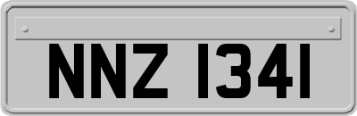 NNZ1341