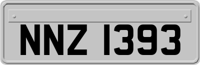 NNZ1393