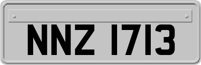NNZ1713