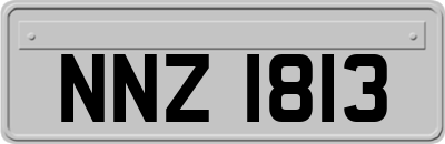 NNZ1813